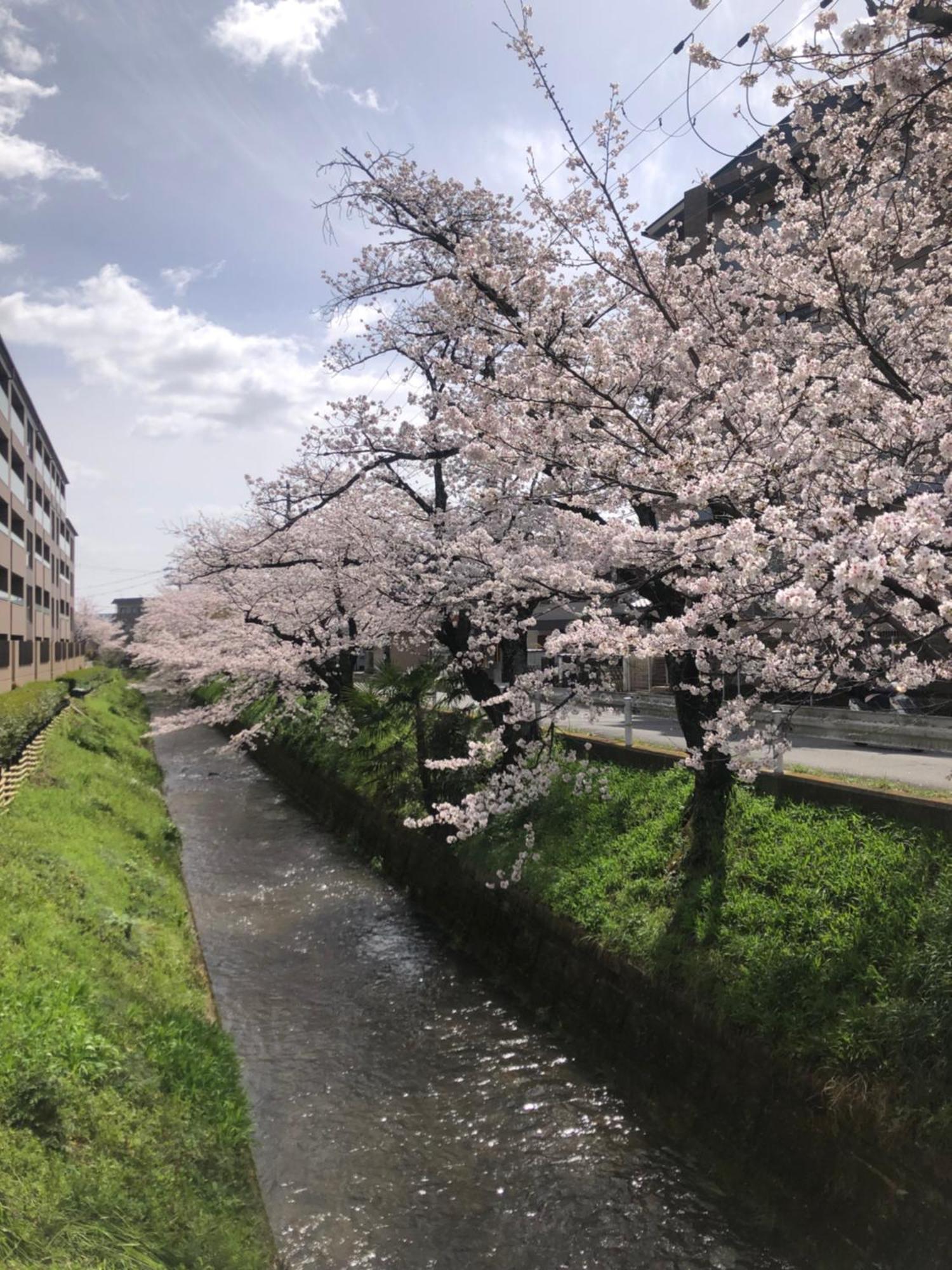 Tsubame-Ya Hotell Kyoto Exteriör bild
